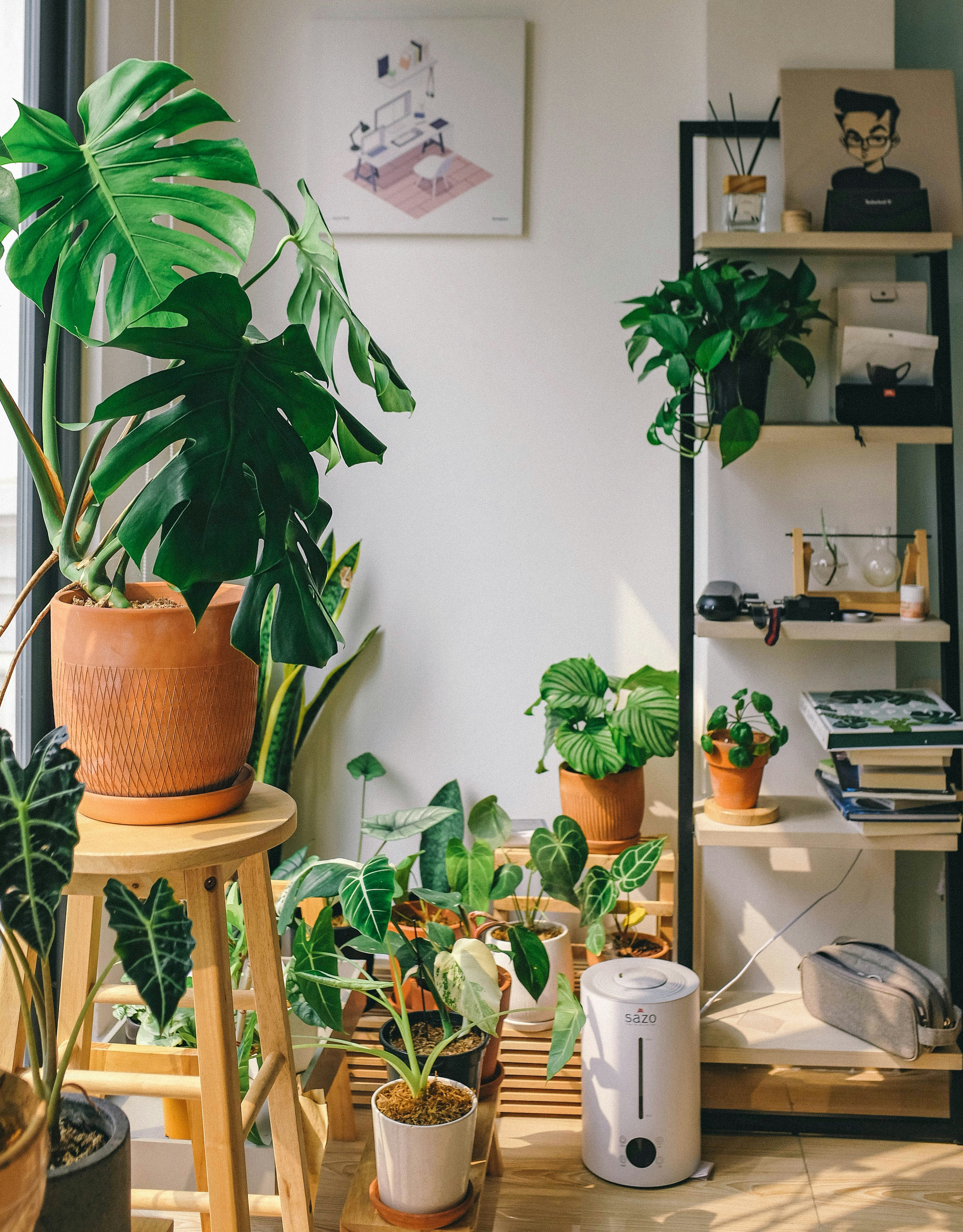 Real indoor plant care tools and supplies