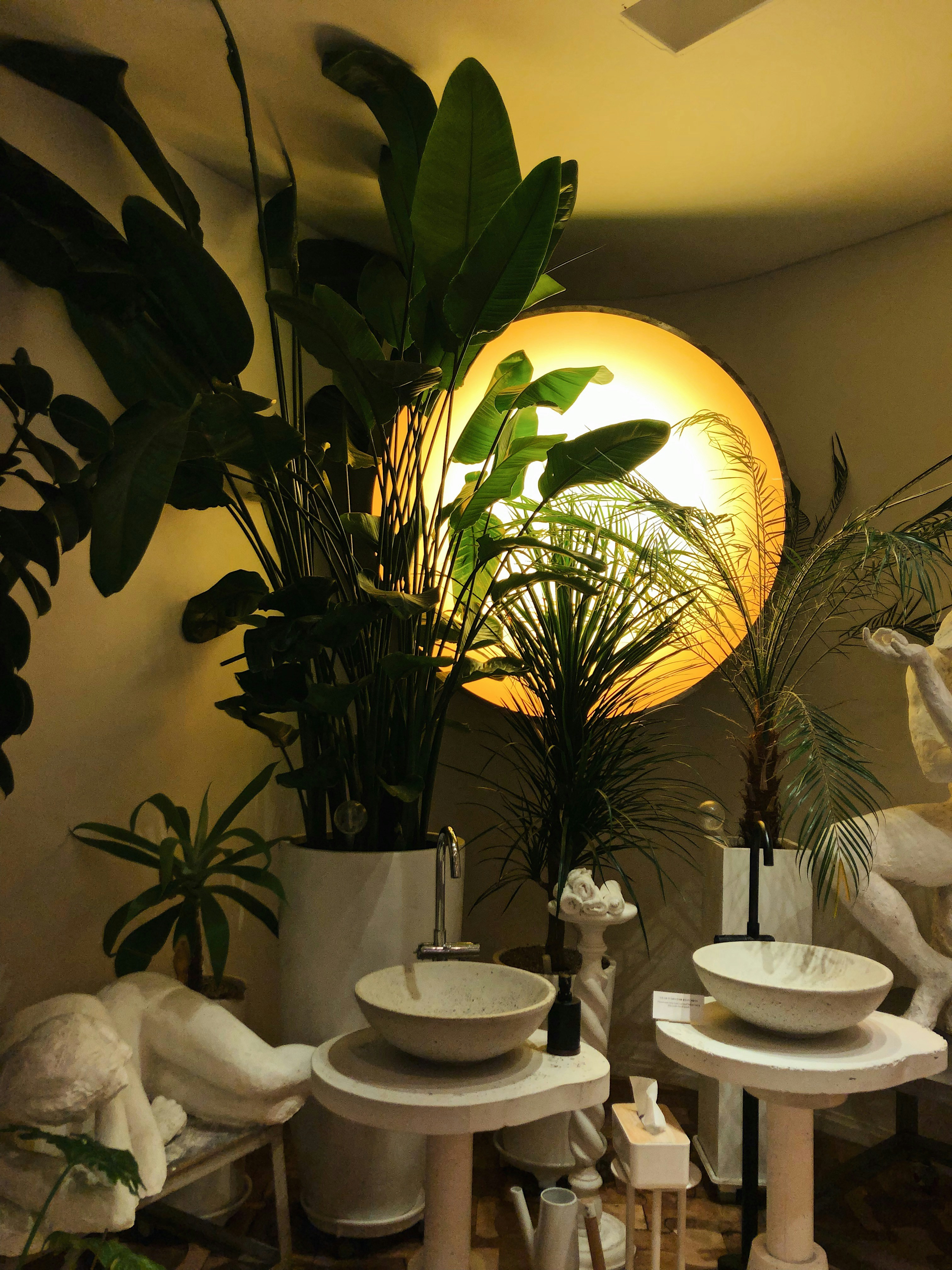 Real indoor plant saucers under potted plants